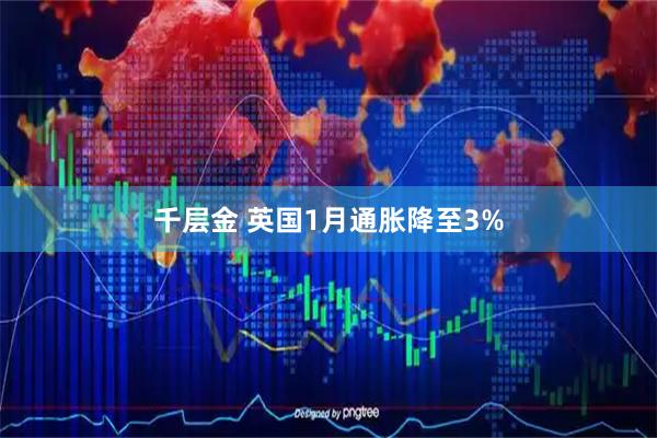 千层金 英国1月通胀降至3%