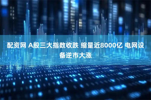 配资网 A股三大指数收跌 缩量近8000亿 电网设备逆市大涨
