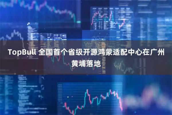 TopBull 全国首个省级开源鸿蒙适配中心在广州黄埔落地