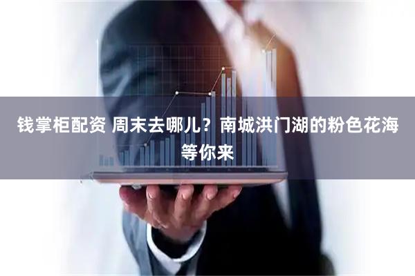 钱掌柜配资 周末去哪儿？南城洪门湖的粉色花海等你来