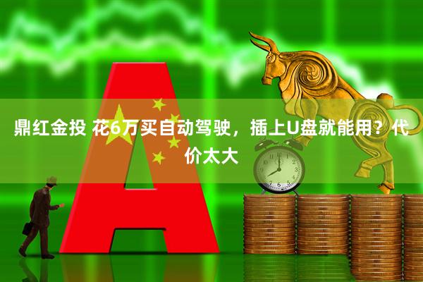 鼎红金投 花6万买自动驾驶，插上U盘就能用？代价太大
