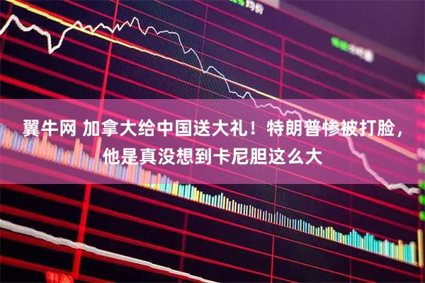 翼牛网 加拿大给中国送大礼！特朗普惨被打脸，他是真没想到卡尼胆这么大