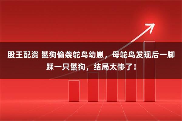 股王配资 鬣狗偷袭鸵鸟幼崽，母鸵鸟发现后一脚踩一只鬣狗，结局太惨了！