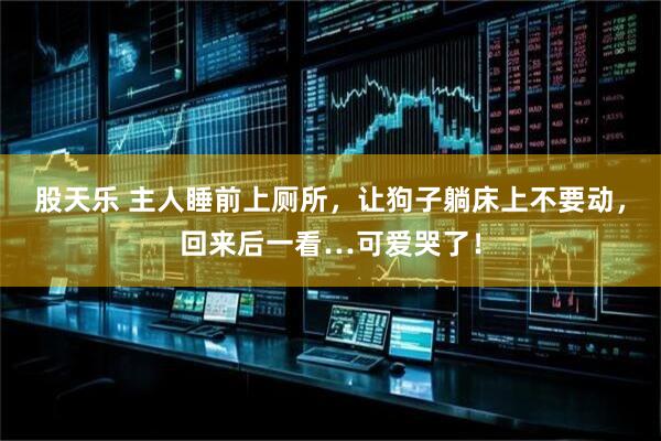 股天乐 主人睡前上厕所，让狗子躺床上不要动，回来后一看…可爱哭了！