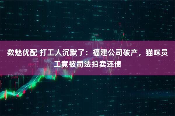数魅优配 打工人沉默了：福建公司破产，猫咪员工竟被司法拍卖还债