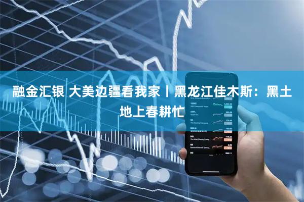 融金汇银 大美边疆看我家丨黑龙江佳木斯：黑土地上春耕忙